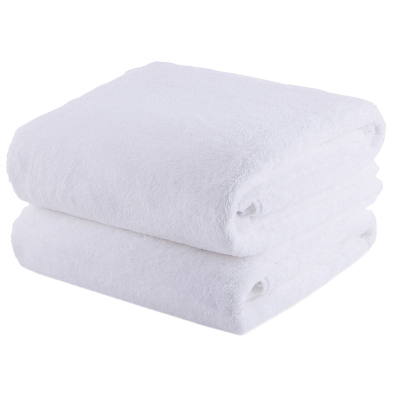 Winston Porter Palko 2 Piece Coral Fleece Bath Sheet Towel Set